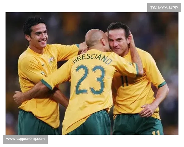 全面解析如何科学判断澳洲杯赛事整体竞技水平方法体系与评估指标综