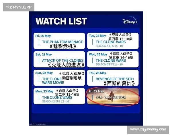 全面解析欧协杯决赛关键规则及比赛流程与裁判判罚要点全方位指南